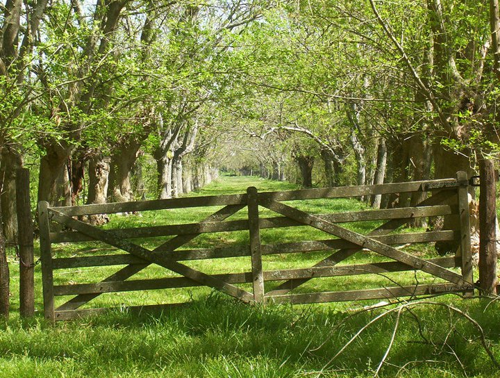 tranquera en estancia